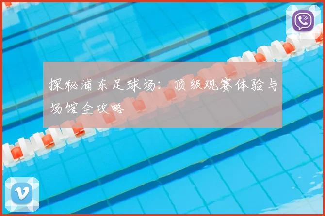 探秘浦东足球场:顶级观赛体验与场馆全攻略